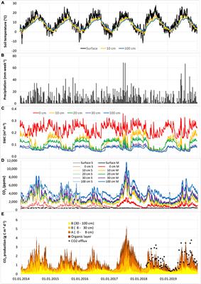 Dynamics of Soil CO2 Efflux and Vertical CO2 Production in a European Beech and a Scots Pine Forest